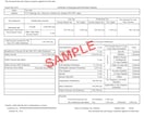戸籍謄本の翻訳3,800円から行います 最短当日納品も可能です！戸籍をスマホで撮影して送るだけ！ イメージ7