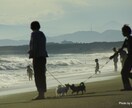心の嵐や雨が少しでも晴れるように祈ります 受け止めます、その悩み☆メンタル通院歴もあります。 イメージ2