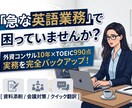 外資コンサル10年のプロが英語業務を伴走指導します TOEIC990点が実務をサポートしつつ英語力を鍛えます！ イメージ1