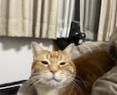 年は取ってみるもんだな。その心境をお伝えします 死にたいを含めて50年近くどうにかやってきてたどり着いた境地 イメージ4