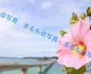 1〜3カットまで！広告等で使える写真を提供します 使い勝手の良い写真をお求めの方に！ イメージ2