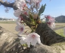 大人になってもほめてほしい✨承認欲求を満たします 仕事/人間関係/ストレス/愚痴/雑談/HSP/ありのまま イメージ3