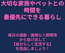 主婦でもできた！まさかのずる賢い副業教えます スキル・資金・経験全て不要！稼ぐためには手段を選ばず イメージ2
