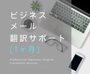 1ヶ月間、ビジネスメールの翻訳サポートします 頻繁に英文でメールのやり取りを行う方におすすめの月額プラン！ イメージ1