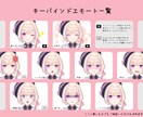 キャライラスト～Live2Dモデル製作します キャラクターイラスト制作～Live2Dモデリングまで対応可 イメージ5