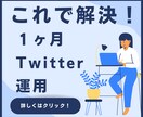 Twitter運用代行でSNSの悩みを解決ます 小さな会社さんのSNS担当に！ イメージ1