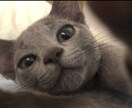 誰かとちょっと話したい、心のもやもやをお聞きします 疲れた、しんどい・・・。なんとなく話を聞いてほしい。 イメージ3