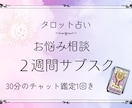 お得な14日間占い放題／あなたの専属占い師します 30分間のリアルタイムチャット付き／レイキヒーリング込み イメージ1