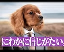 動画編集テロップ付け代行します 動画の編集テロップbgm挿入代行します。 イメージ2