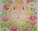 主に、動物とお花のイラストを色鉛筆で描いています ご自身用・贈り物などにどうぞ♪ふんわりしたタッチで描きます。 イメージ3