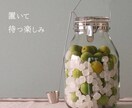 商品・サービスに合わせたWEB画像を作成します ココナラ出店記念！今だけ1500円でご提供！ イメージ3