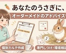 プロが実績作りのため、今だけ特別価格で対応します うさぎマスター検定2級所持のプロが、リアルな悩みを解決！ イメージ2