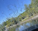 北海道旅行のプラン提案します 札幌在住者が地元の人が通うスポットや話題の場所をお伝えします イメージ9