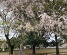 ちょこっと話を聞いてほしい…。5分でもお話聞きます カウンセリングじゃなくて、なんとなく聞いてほしいコト。 イメージ3