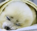 口下手さん、コミュ力に自信のない方、伺います 私自身、口下手でコミュ力に自信はないけど、私で良ければ☺️ イメージ1