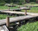 転職、結婚、職場関係のお悩み伺います 女性のお悩みを伺い、夢や次につながるアドバイスをいたします。 イメージ2
