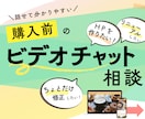 Web制作のビデオチャット相談承ります サービス購入前のもやもやや疑問を話して納得したい方向けです イメージ1