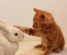 愚痴、話し合いとして！悩んでいる人のお話し聞きます 愚痴、話し相手いない。誰かに話したいが言いにくい方は聞きます イメージ1