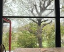 お悩み、恋愛相談なんでも聞きます ただ肯定してもらいたいときってありますよね！ イメージ1