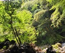 忘れられない相手・執着する恋心の縛りを解き放ちます 忘れられない相手への執着と苦しい恋心を読み解き未来へ導きます イメージ8