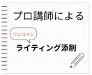 英検・大学受験の英作文をワンコインで添削します プロ講師があなたの作文を基にオリジナル正答例を提供！ イメージ1