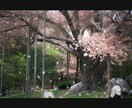 撮影から納品まで写真素材作成します ライト仕上げで格安提供！写真オールジャンル承ります イメージ2