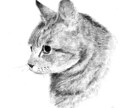 原画郵送：写真からペット肖像画を色鉛筆で描きます 大切な「うちの子」を、世界に一枚だけの手描き作品に イメージ8