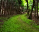 京都旅行の行程表を元プロガイドが作ります 今回の京都旅行はいつもとは違う特別な旅になる！ イメージ7