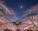 家庭の流れと家族関係を丁寧に読み解きます 初回限定♦心を守りながら家族関係を整えるサポートをします◎ イメージ3