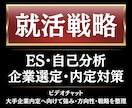 60分のビデオチャットで就活全体を整理します 超大手メディア社員×修士キャリアコンサルタントの指導 イメージ1