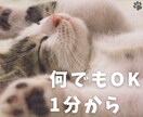 あなたの心に寄り添います どんな事でも話してみて下さいね♪優しさを全力で注ぎます！ イメージ2