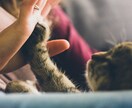 亡くなったペットからのメッセージをお伝えします 霊視鑑定から、大切なペットちゃんからのお声を届けます。 イメージ3