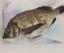 釣り教えます 初めての方や、もっとうまくなりたいかたに。 イメージ2