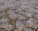 色々なお話を聞かせていただきます お休みの前のひとときや誰かに話をしたい時に…… イメージ1