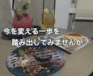 コーチが貴方の話を聴きます あなたは本当に話を聴いてもらえていますか？ イメージ1