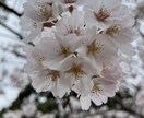優しく包みます❤️1分ok!貴方のお話聞きます 雑談、悩み、低音ボイスで貴方のお話なんでも聞きます！ イメージ1