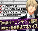 Twitterで少労力でマネタイズする方法教えます サイレントマジョリティーにアプローチしマネタイズする方法!! イメージ1