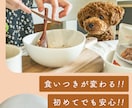 バナーデザイン 制作いたします 売上UP、成果重視のデザインバナー制作 イメージ5