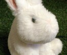 ぬいぐるみの型紙起こし、承ります 一つだけの思い出を、自分で作ってみませんか？ イメージ5