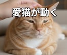 写真1枚で愛猫が動く動画制作します もう一度、あの幸せな時間に会える。 イメージ1