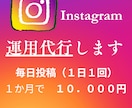 Instagram運用代行します 格安すぎ！！ほぼ丸投げでも運用します！ イメージ1