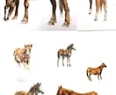 リアルな動物イラスト描きます ペットやお客様の好きな動物をお描きします。 イメージ2