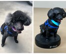 愛するペットを本物そっくりに作ります 5000円から始められる5cmから実寸大フィギュアまで作成可 イメージ5
