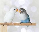 悩み事何でも聴きます 現役看護師にお悩み話してみませんか？❁⃘*.ﾟ イメージ1