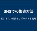 一番手取り早いSNSでの集客方法を一気に教えます SNSでのビジネスの成長をサポートする戦略を一気に教えます イメージ1
