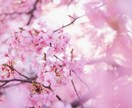 モニョモニョしてる方！自分ラブへ変化します モニョモニョしてる方！人生もっとよくしたい方どうぞ！ イメージ1