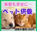 愛するペットの魂を供養し、あの世での幸せを願います 愛するペットと、また来世でも一緒に幸せになる祈り イメージ1