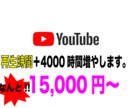 YouTube動画＋4000時間再生させます 再生時間の方は是非、本サービスをご検討ください。 イメージ1