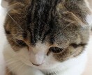 人生いろいろ〜♪ありますよね！！！話聞きます 愚痴★悩み★相談事など、なんでも聞きます！！！ イメージ7