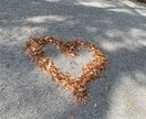 男女問わず好かれるためになどお伝えします なぜたが上手くいかない方必見です。まずは自分に自信を。 イメージ1